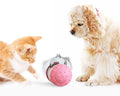 Schwingerball für Katze – Bild 1 | LuxeStyle