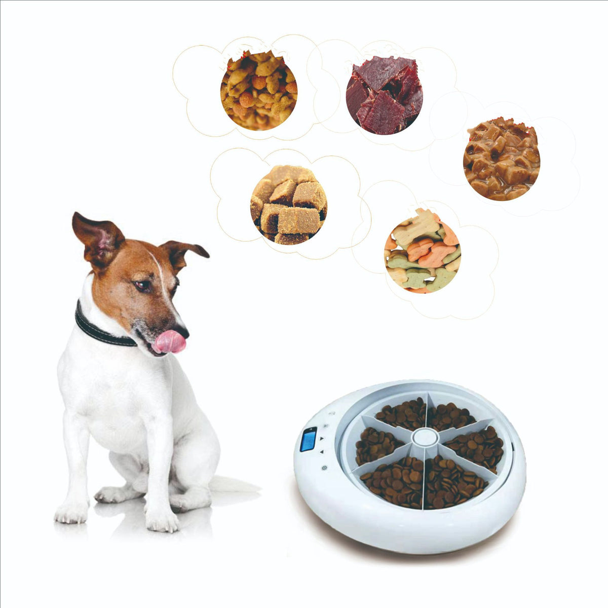 Schnell-Teilen-Futterautomat für Hund und Katze – Bild 2 | LuxeStyle