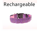 LED-Halsband für Hunde – Leopard-Muster