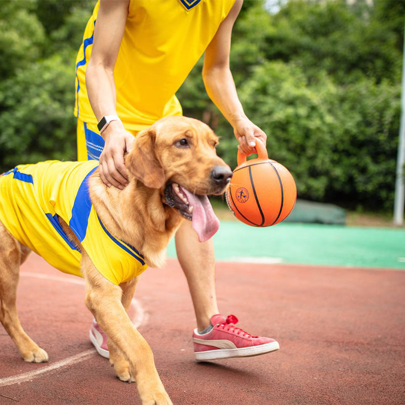 Ball für das Rennen – Bild 4 | LuxeStyle