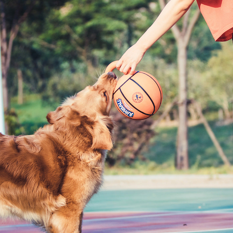 Ball für das Rennen – Bild 5 | LuxeStyle