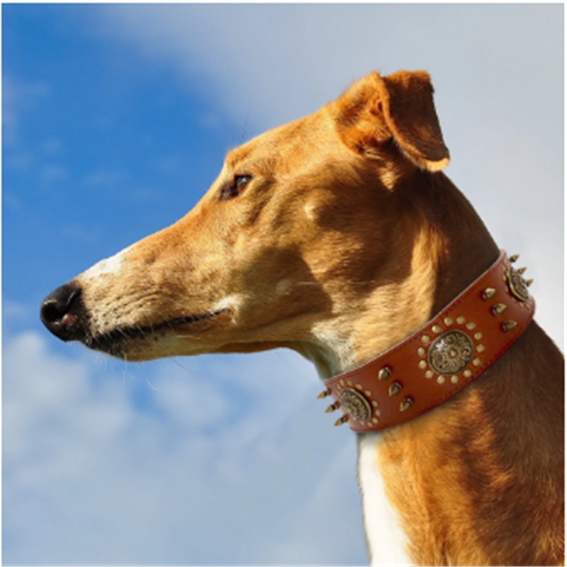 Halsband Retro-Leder mit Nieten – Bild 4 | LuxeStyle