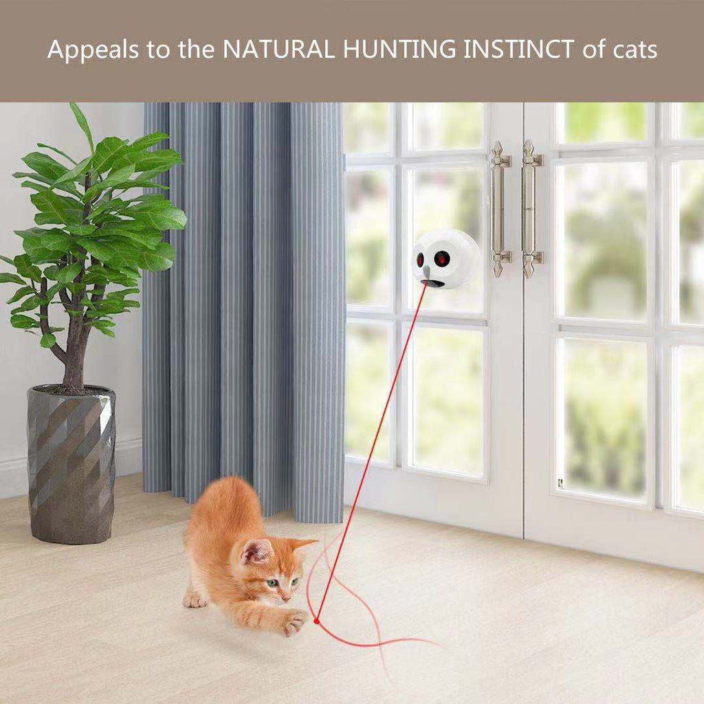 Laser-Katzenspielzeug
