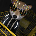 Hundepullover – Bild 1 | LuxeStyle
