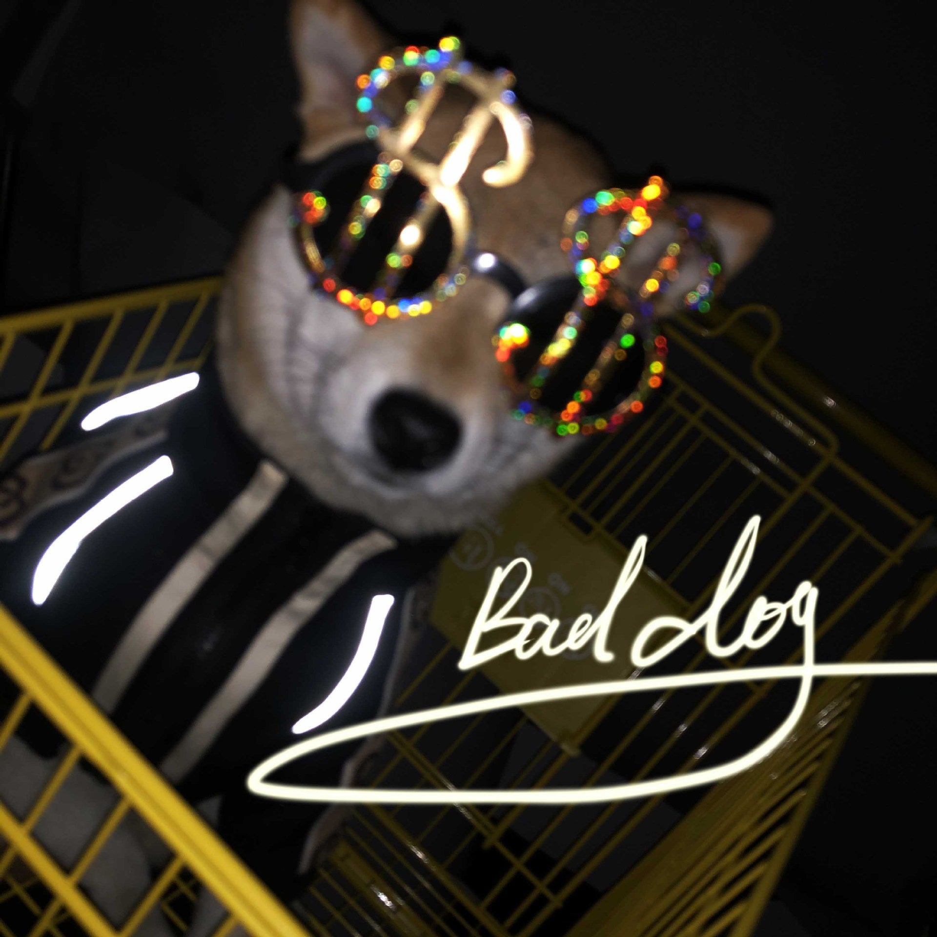 Hundepullover