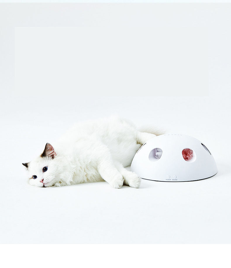 Intelligente Katzen Spielzeuge – Bild 1 | LuxeStyle