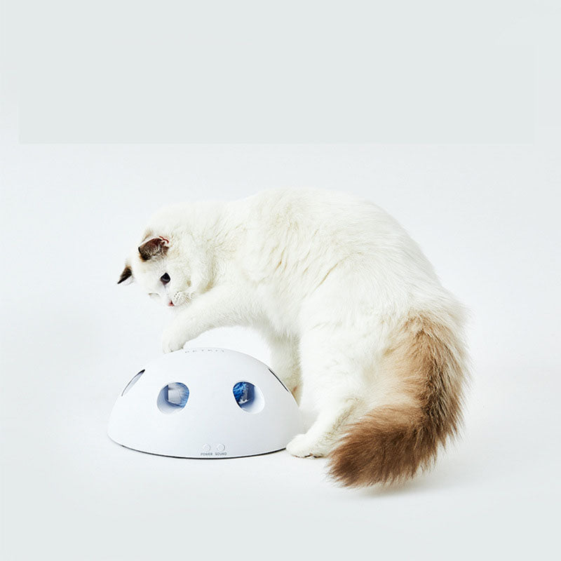 Intelligente Katzen Spielzeuge – Bild 2 | LuxeStyle