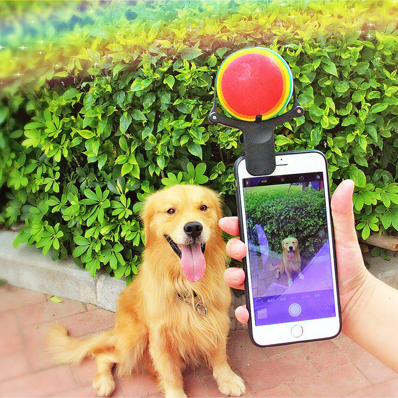 Selfie-Clip für Haustiere – Bild 2 | LuxeStyle