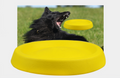 Hunde Wurfspielzeug aus EVA-Material