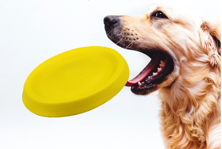 Hunde Wurfspielzeug aus EVA-Material