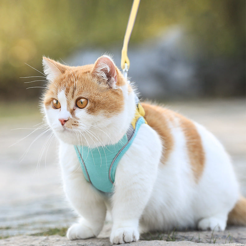 Katzengeschirr mit Leine im Brit-Stil – Bild 2 | LuxeStyle