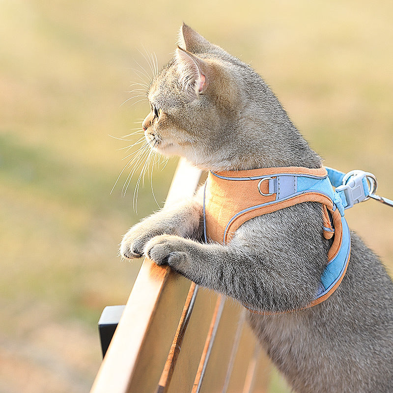 Katzengeschirr mit Leine im Brit-Stil – Bild 3 | LuxeStyle