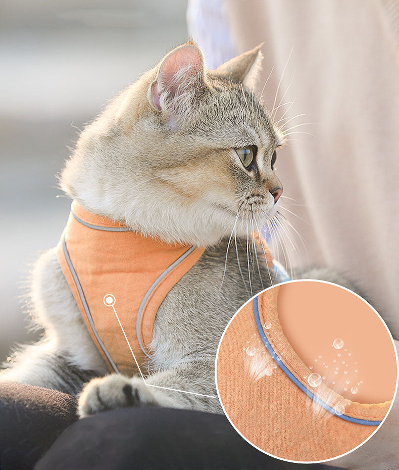 Katzengeschirr mit Leine im Brit-Stil – Bild 5 | LuxeStyle