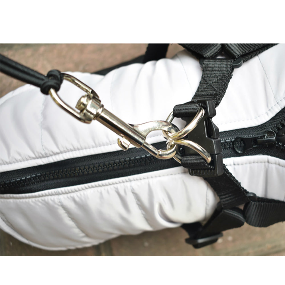 Hundefahrradleine aus Edelstahl – Bild 5 | LuxeStyle