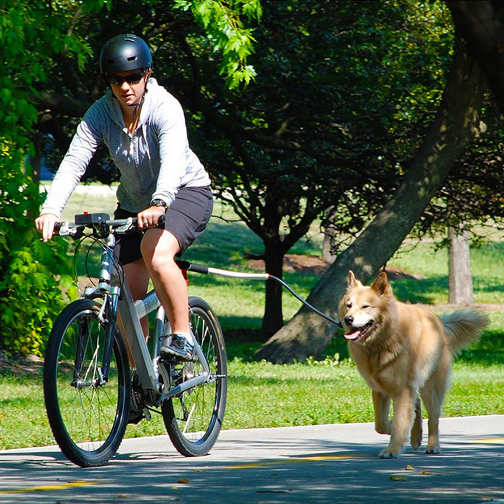 Hundefahrradleine aus Edelstahl | LuxeStyle