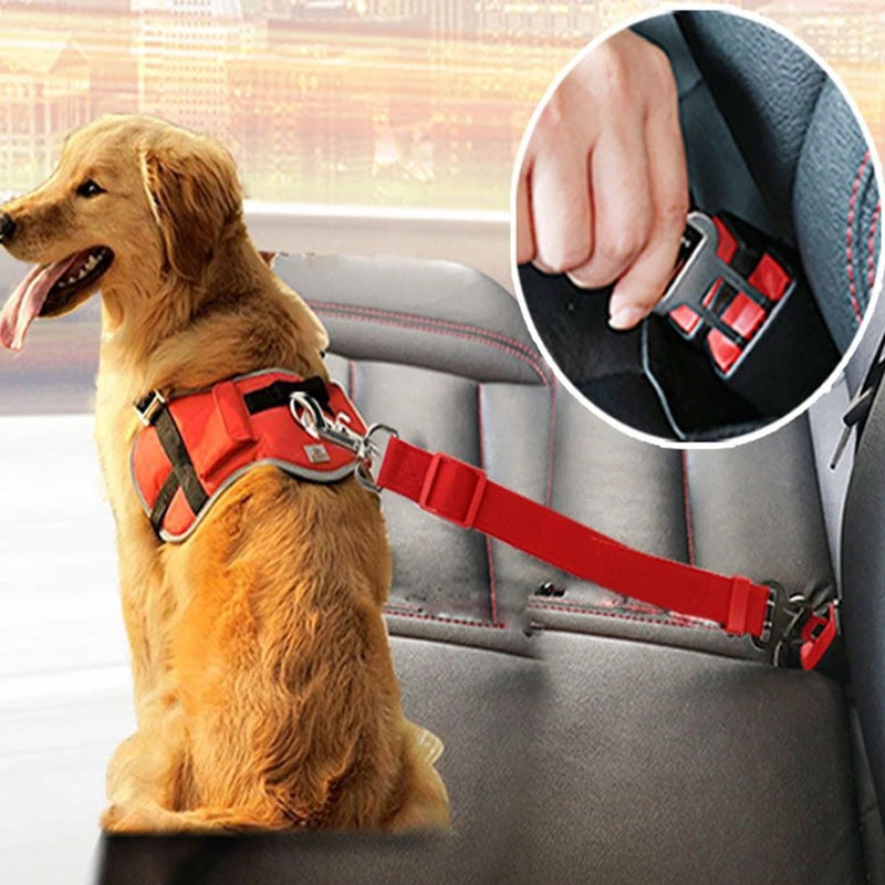 Auto-Sicherheitsgurt für Hund & Katze