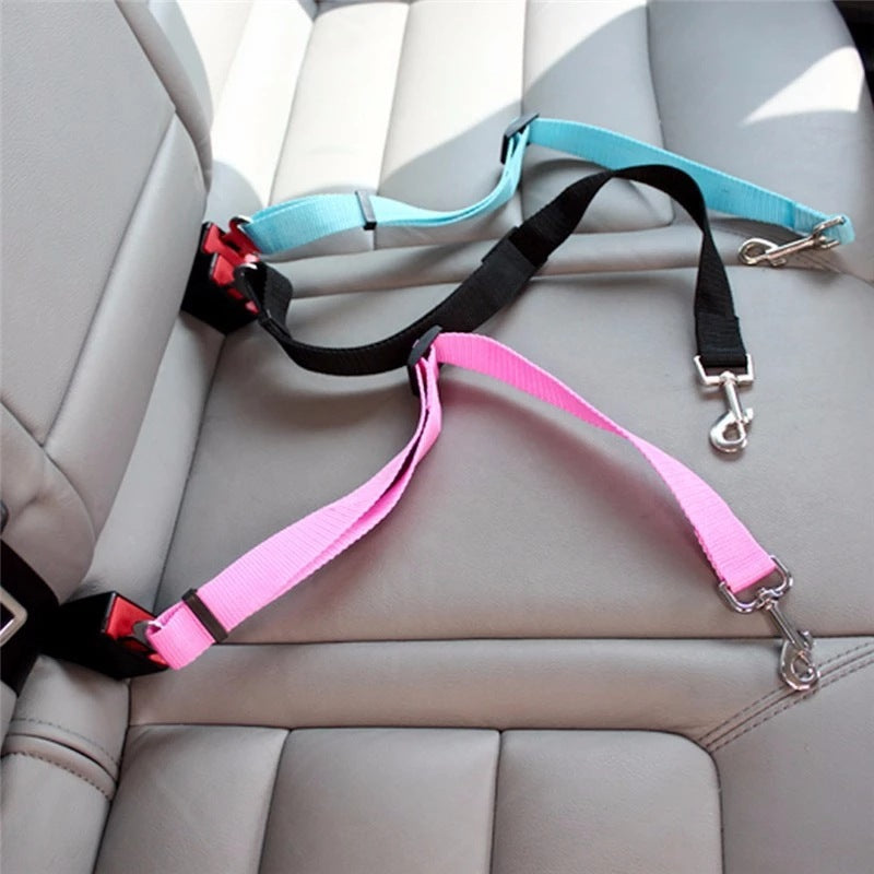 Auto-Sicherheitsgurt für Hund & Katze