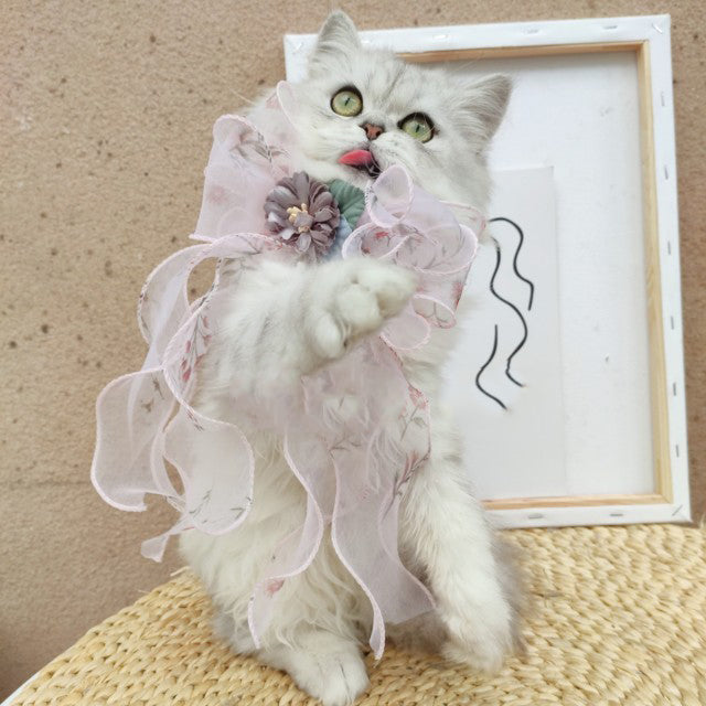 Halsband mit grosser Schleife für Katzen & Hunde – Bild 7 | LuxeStyle