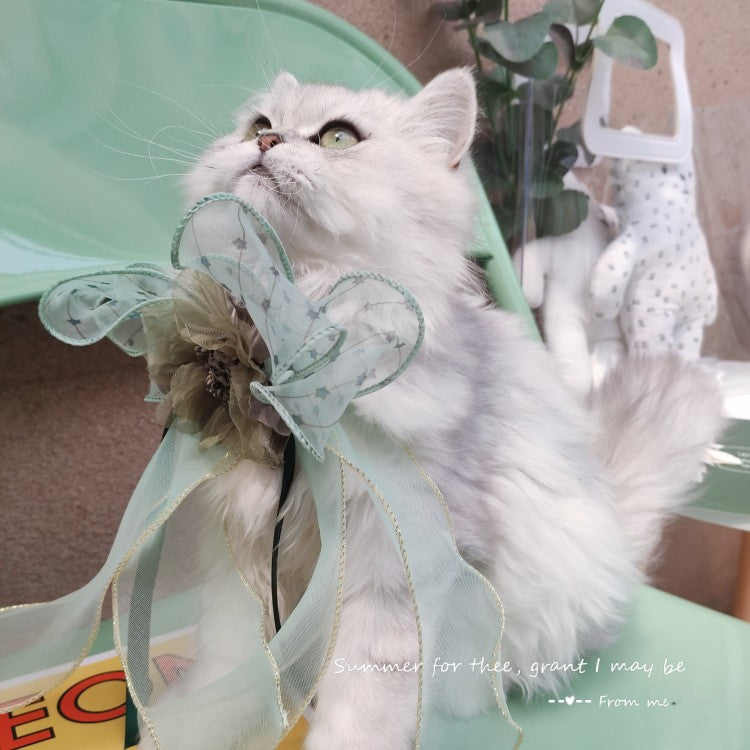 Halsband mit grosser Schleife für Katzen & Hunde – Bild 8 | LuxeStyle