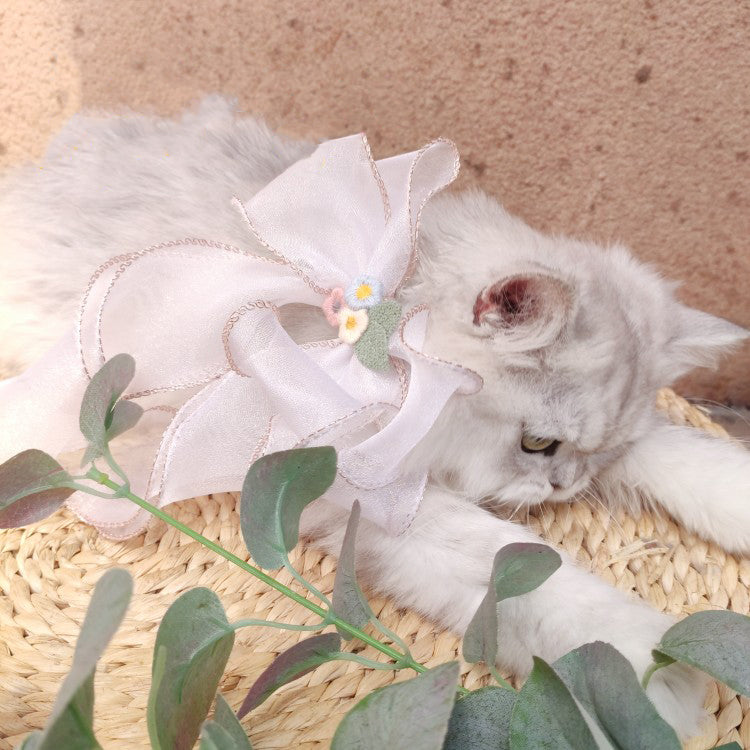 Halsband mit grosser Schleife für Katzen & Hunde – Bild 1 | LuxeStyle