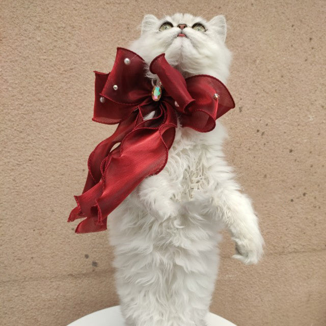 Halsband mit grosser Schleife für Katzen & Hunde – Bild 6 | LuxeStyle