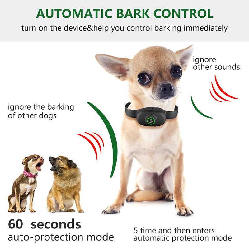 Elektronisches Hunde-Trainingshalsband – Bild 2 | LuxeStyle
