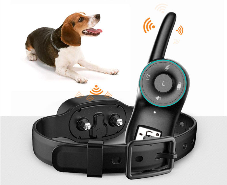 Wasserdichter Hunde-Trainer