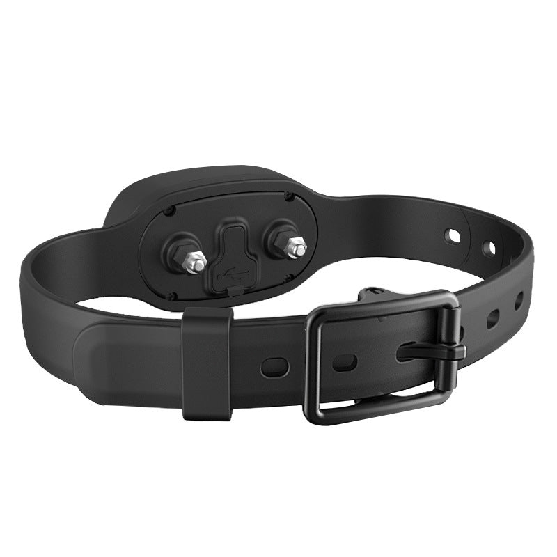 Wasserdichter Hunde-Trainer