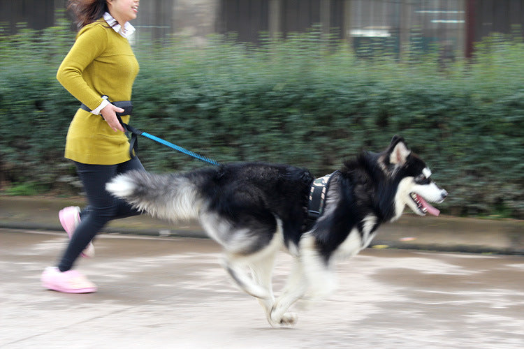Multifunktionale Hunde-Joggingleine – Bild 6 | LuxeStyle
