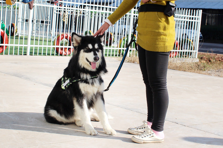 Multifunktionale Hunde-Joggingleine – Bild 5 | LuxeStyle