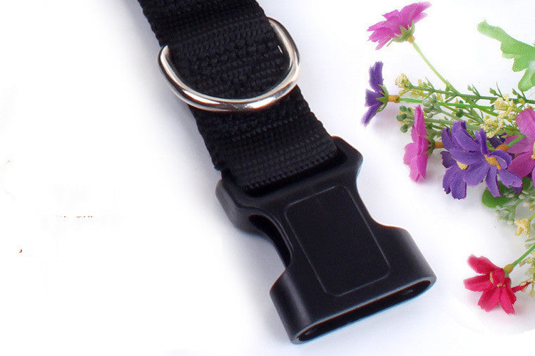 Multifunktionale Hunde-Joggingleine – Bild 12 | LuxeStyle