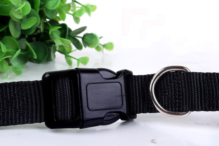 Multifunktionale Hunde-Joggingleine – Bild 10 | LuxeStyle