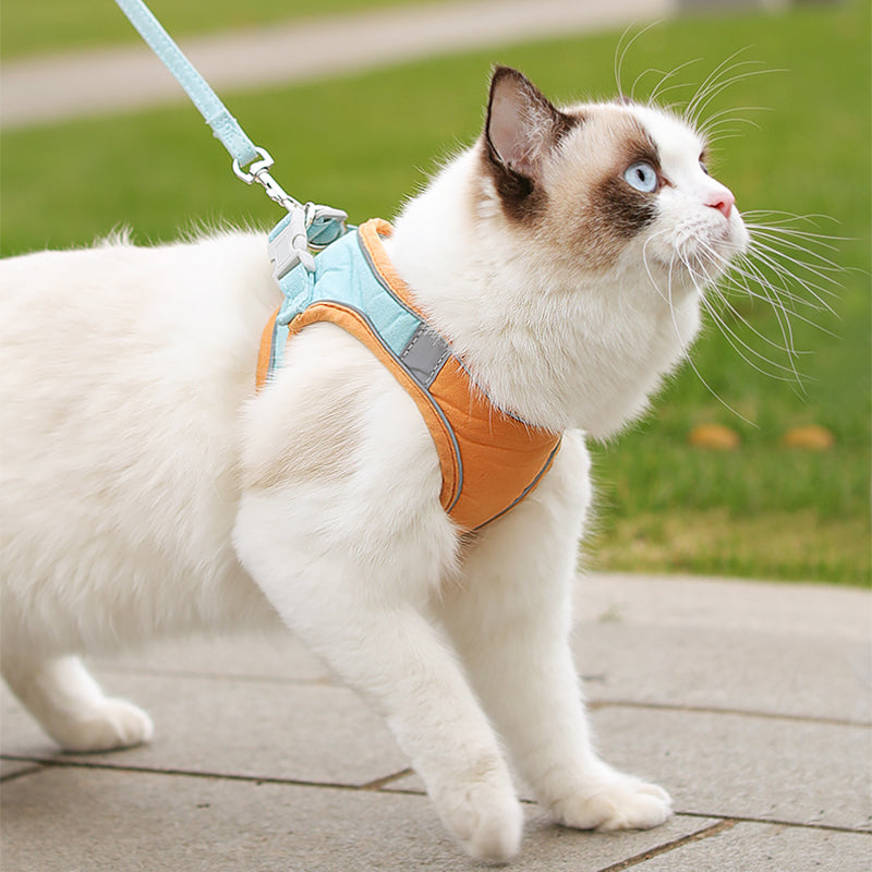Komfortables, reflektierendes Geschirrset für Katzen – Bild 4 | LuxeStyle