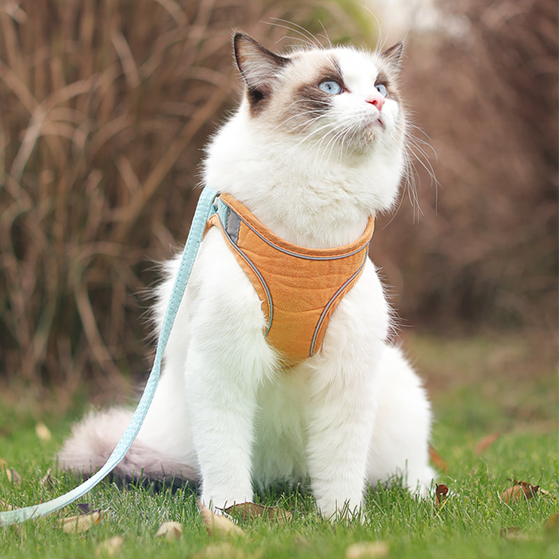 Komfortables, reflektierendes Geschirrset für Katzen – Bild 3 | LuxeStyle