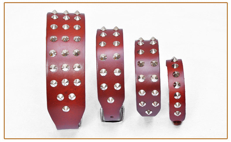 Halsband aus Rindsleder mit Strass-Punkten – Bild 5 | LuxeStyle