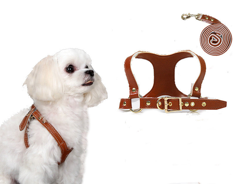 PU-Brustgeschirr mit Leine für kleine Hunde – Bild 4 | LuxeStyle