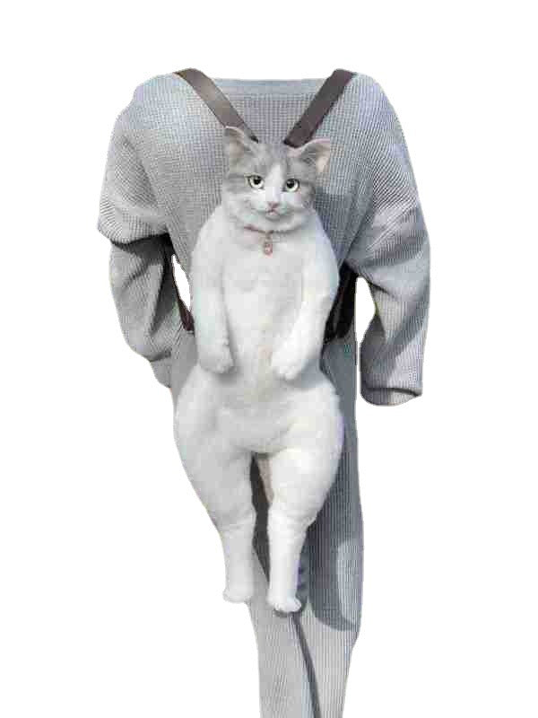 Simulation Katzenrucksack-Puppe – Bild 1 | LuxeStyle
