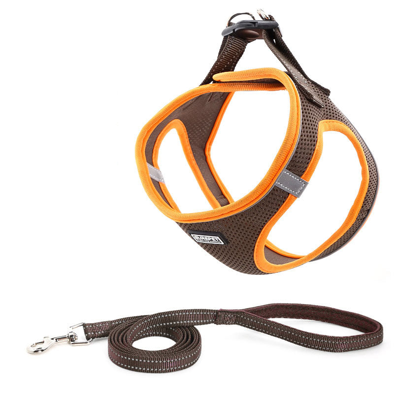 Hunde- und Katzengeschirr-Set mit Leine | LuxeStyle