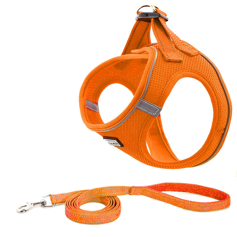 Hunde- und Katzengeschirr-Set mit Leine – Bild 3 | LuxeStyle