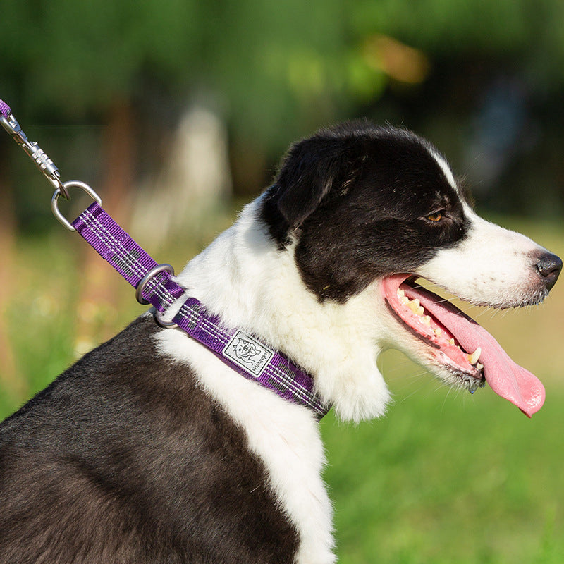 Hundehalsband für kleine bis grosse Hunde – Bild 2 | LuxeStyle