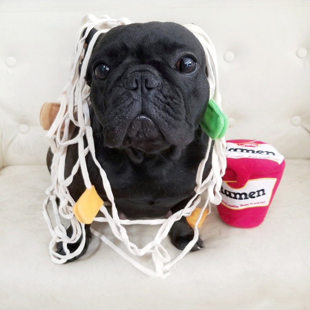 Ramen Schnüffelspielzeug für Hunde