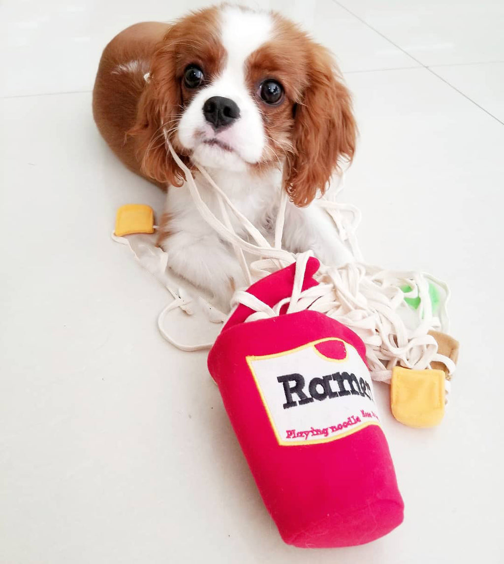 Ramen Schnüffelspielzeug für Hunde