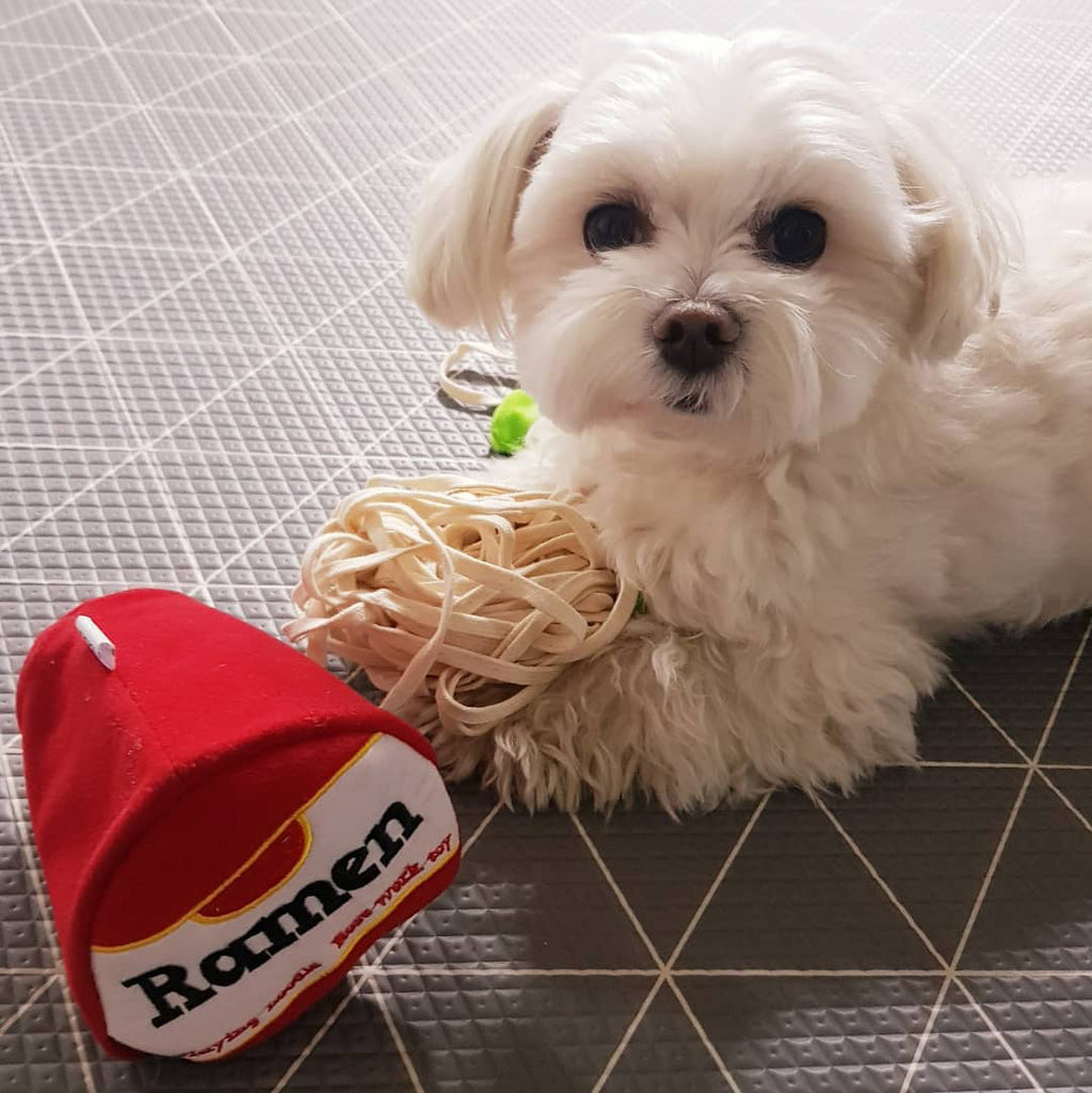 Ramen Schnüffelspielzeug für Hunde