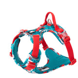 Farbe: Blau-Rot