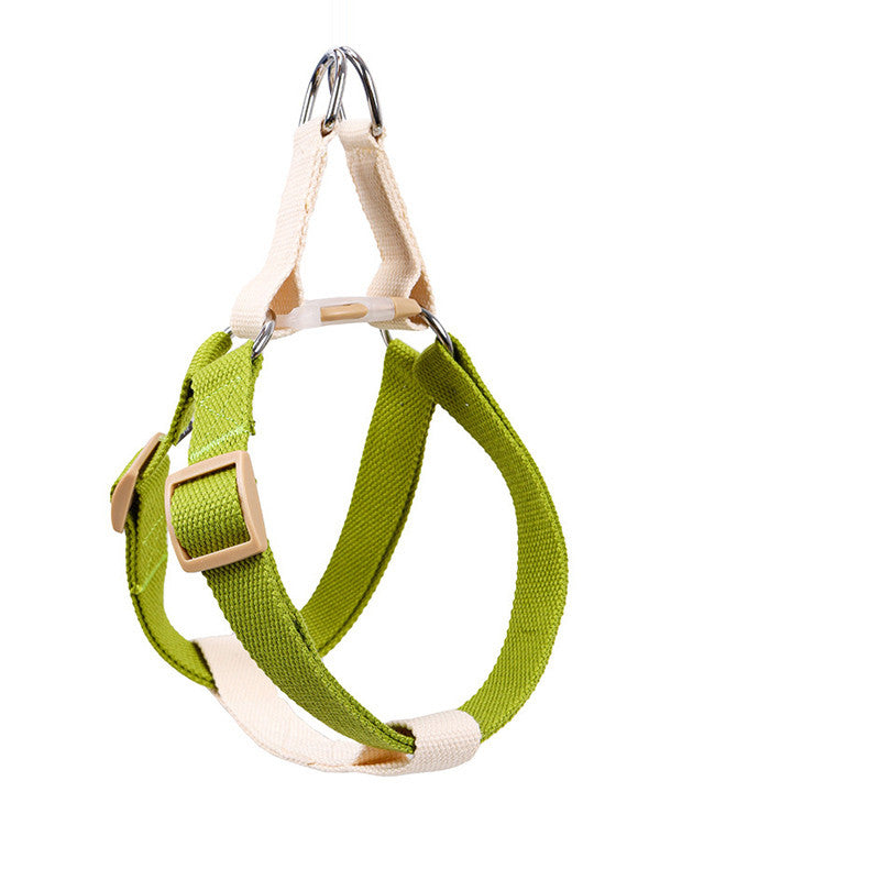 Leine für mittelgrosse und grosse Hunde | LuxeStyle
