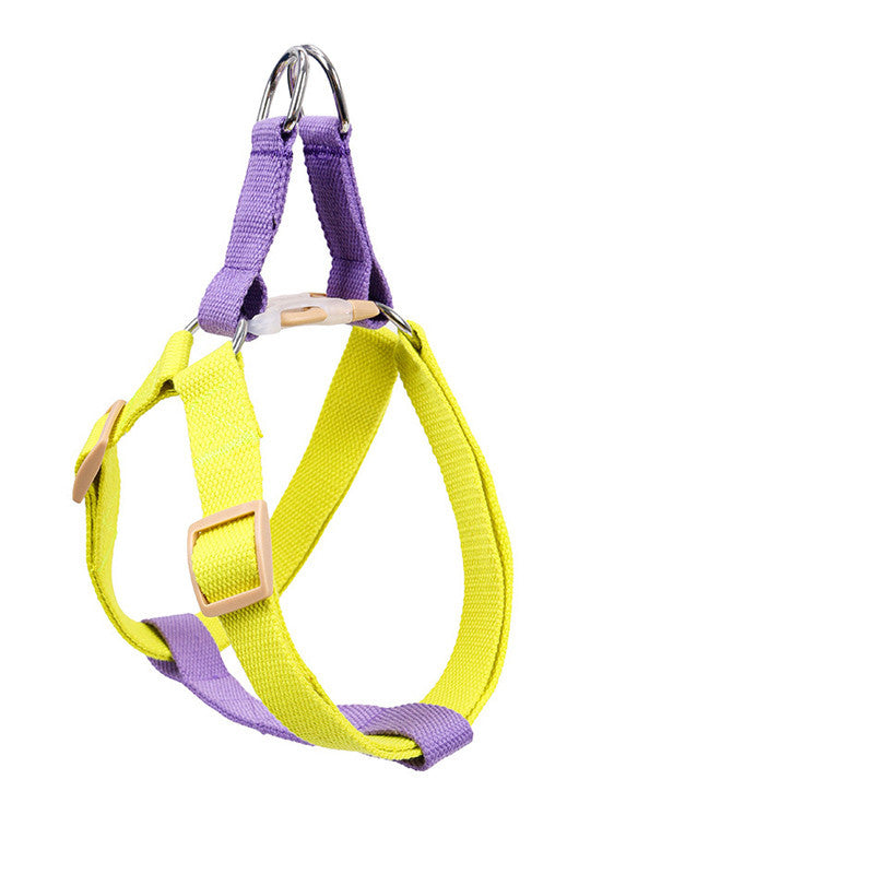 Leine für mittelgrosse und grosse Hunde – Bild 5 | LuxeStyle