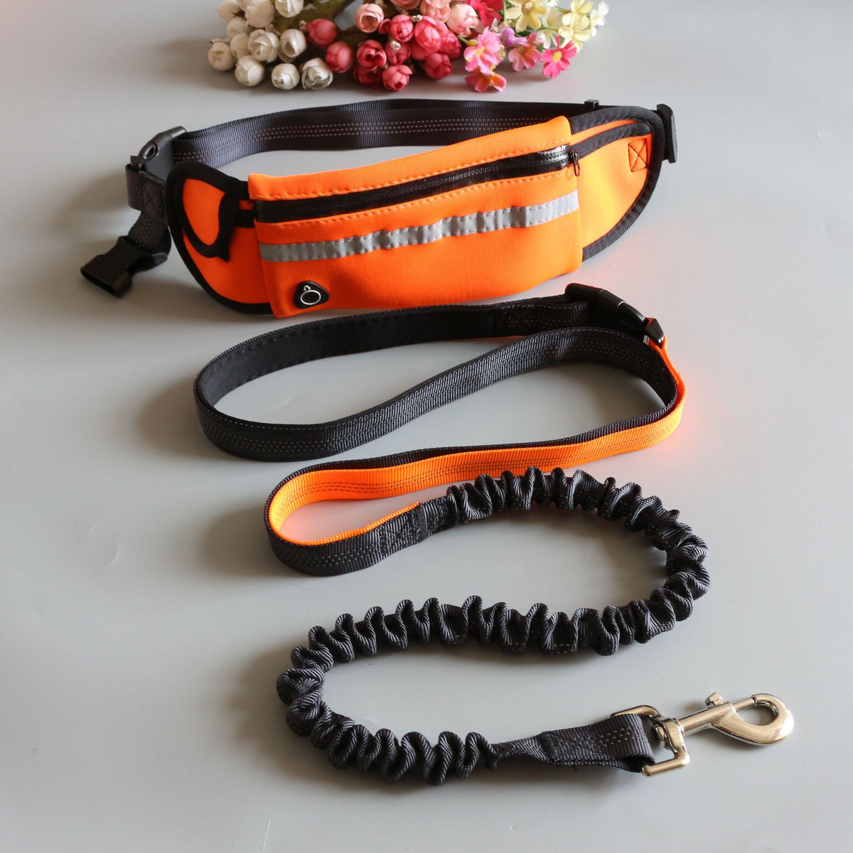 Hunde-Jogging-Set mit Bauchtasche – Bild 2 | LuxeStyle