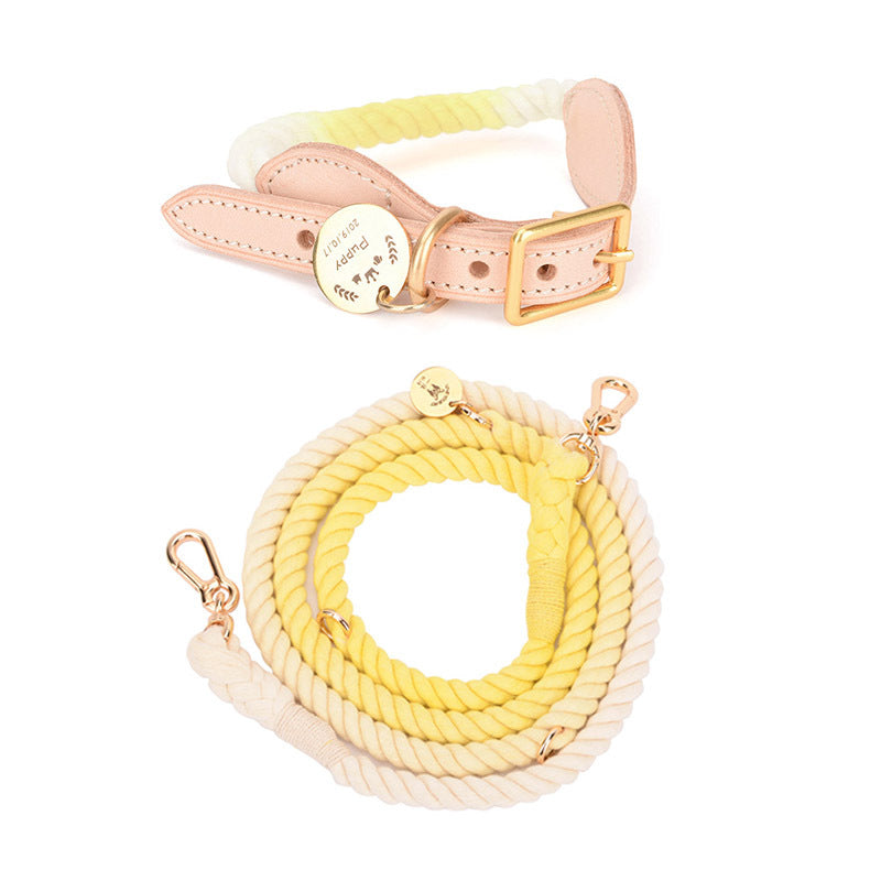 Multifunktionale Regenbogen-Hundeleine – Bild 3 | LuxeStyle