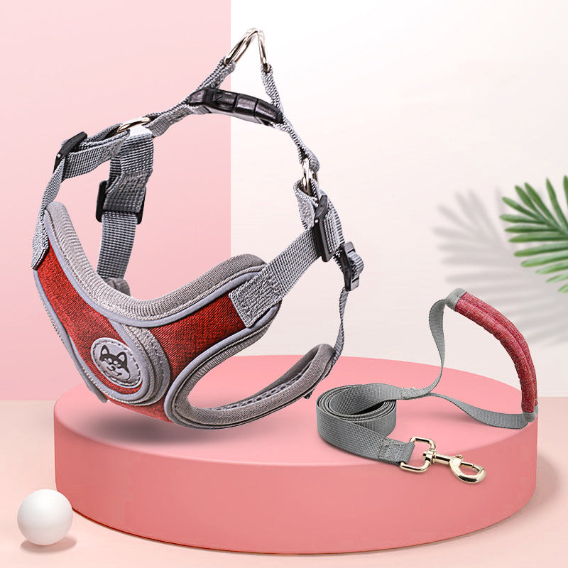 Hundegeschirr mit Leine für kleine bis mittelgrosse Hunde – Bild 2 | LuxeStyle