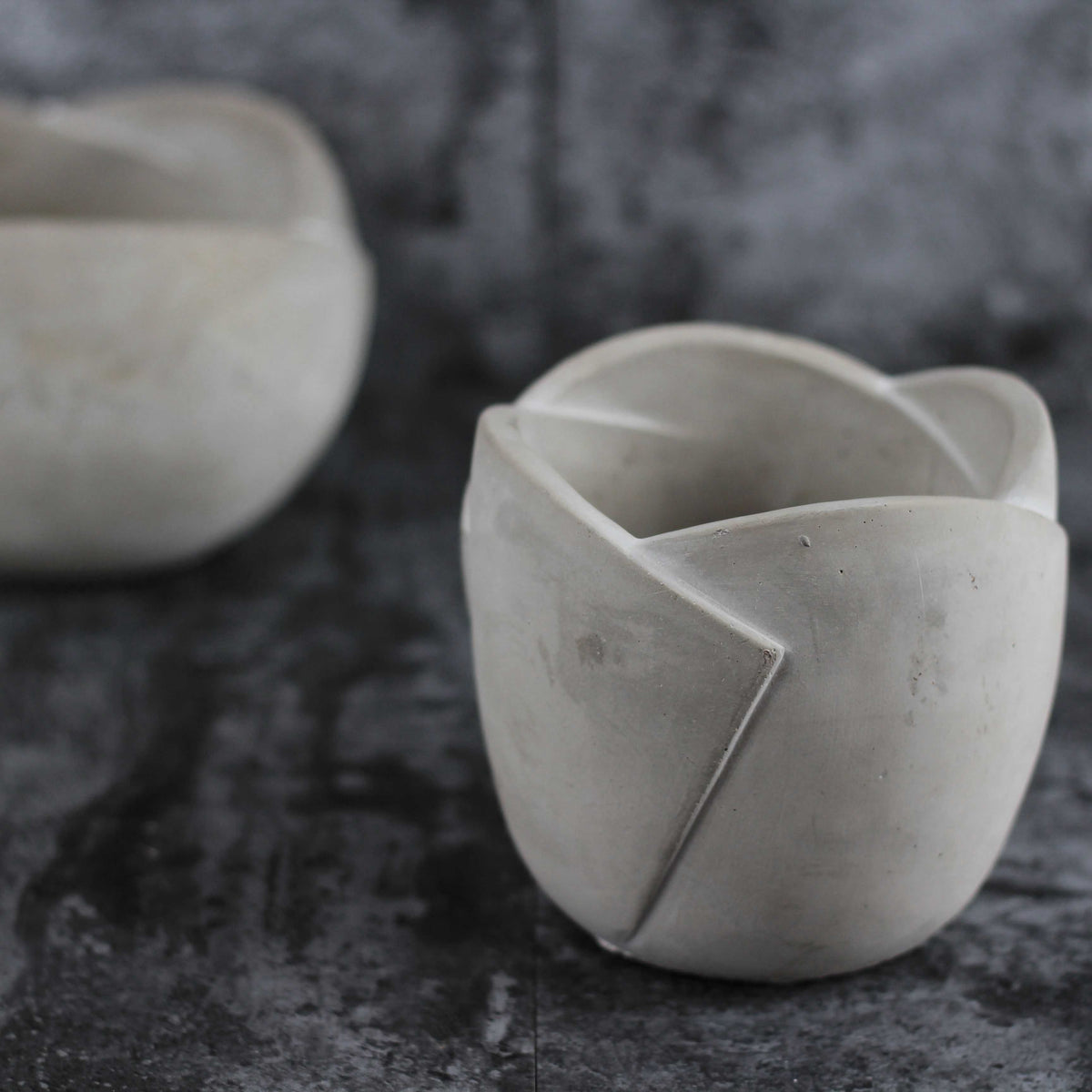 Sukkulenten-Blumentopf Silikonform – Bild 2 | LuxeStyle